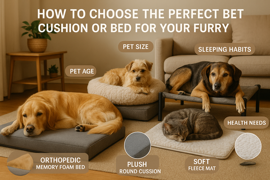 How to Choose the Perfect Pet Cushion or Bed for Your Furry Friend