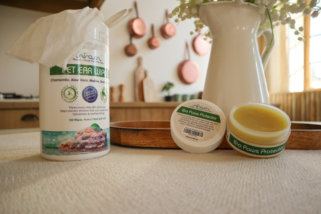 Pet Wellness 101: Best Supplements and Grooming Products for a Longer, Happier Life