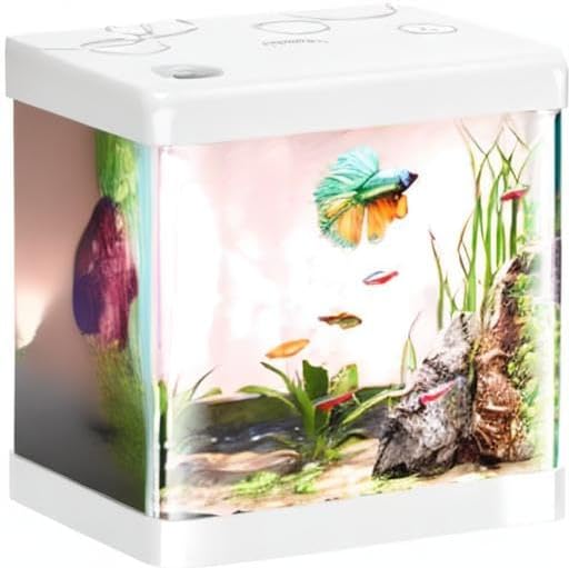 5 Gallon Glass Small Fish Tank,Betta Fish Tank with Filter and Light,White Aquarium Starter Kit.-PawvioPets