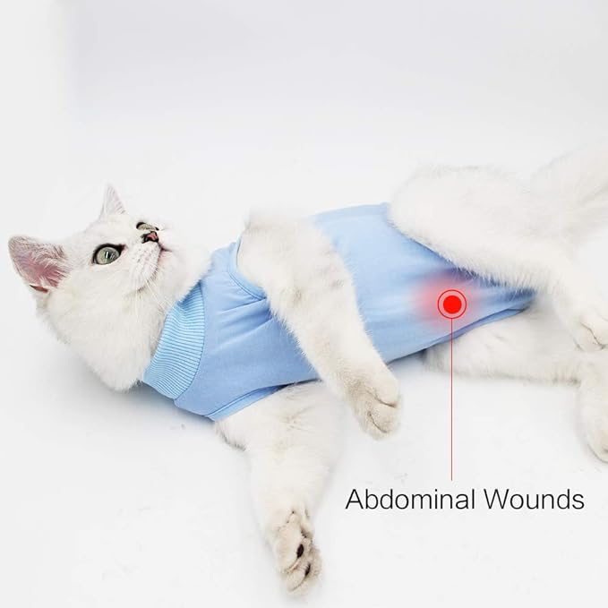 DOTON Cat Recovery Suit for Male and Female Surgical Post Surgery Soft Cone Onesie Shirt Clothes Neuter Licking Protective Diapers Outfit Cover Kitten Spay Collar(S, Blue)-PawvioPets