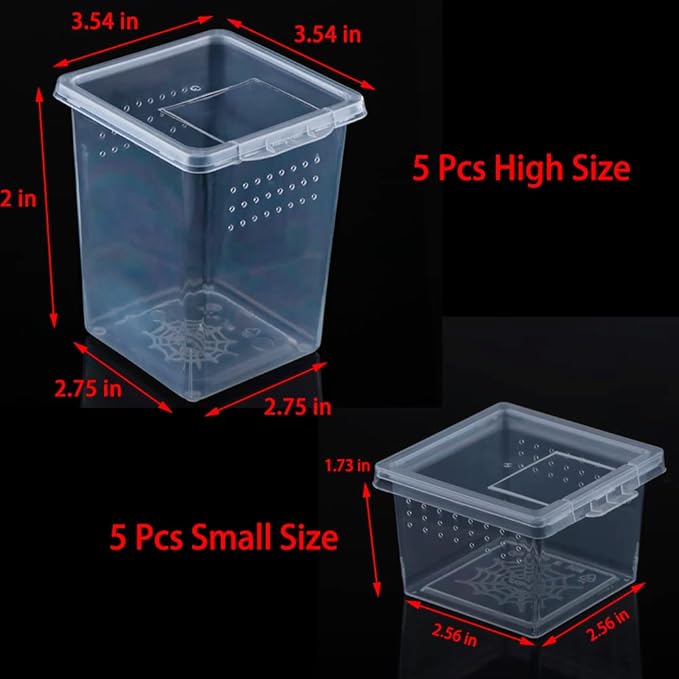 10 Pack Spider Terrariums Breeding Box Small Reptile Hatching Container Acrylic Feeding Box for Arboreal Spider Tarantula Mantis Scorpion Centipede Insect (5 High+5 Small)-PawvioPets