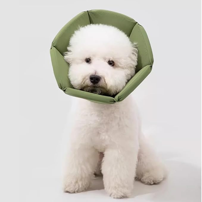 Cat Cone Collar - Soft Waterproof Elizabethan for Cats, Cute Green Flower Anti-Lick Recovery Collar, Adjustable Healing Collar for Wound Care & Surgery with a pet Toy Fish,S-PawvioPets