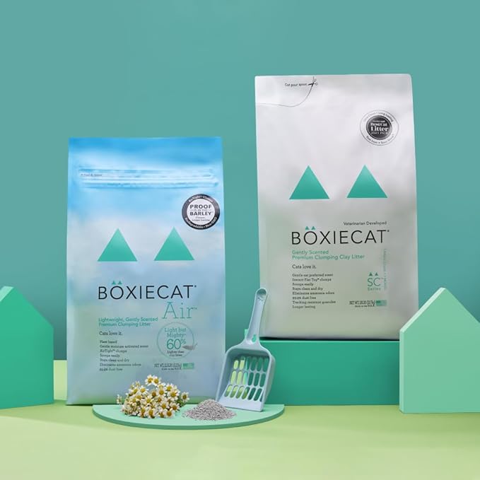Boxie Gently Scented Cat Litter, Lightweight 30-Day Odor Control, Clumping, 11.5lb-PawvioPets
