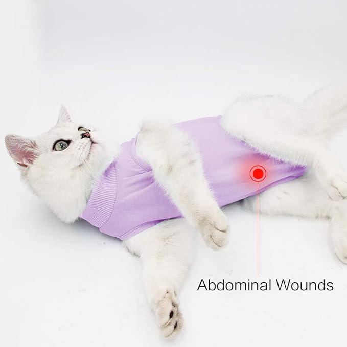 DOTON Cat Recovery Suit for Male and Female Surgical Post Surgery Soft Cone Onesie Shirt Clothes Neuter Licking Protective Diapers Outfit Cover Kitten Spay Collar(M, Purple)-PawvioPets