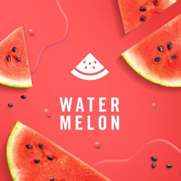 Febreze Small Spaces Air Freshener Watermelon, 25 fl oz, 2 Pk-PawvioPets