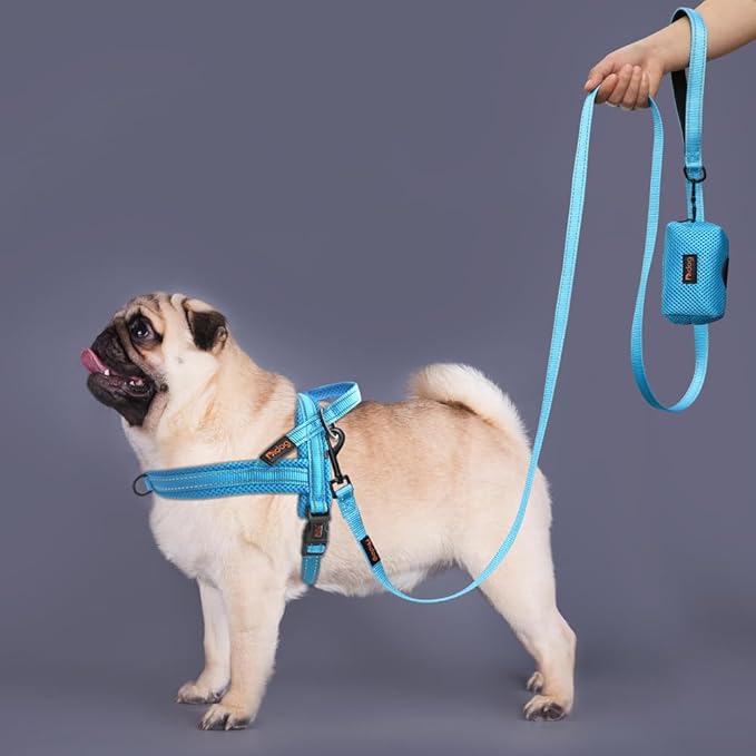 Didog No Pull Dog Harness with Soft Mesh Padded,Reflective & Quick Fit Light Weight Dog Strap Vest Harness,Easy for Walking Training (XS:Chest 15-18", Mesh-Blue)-PawvioPets