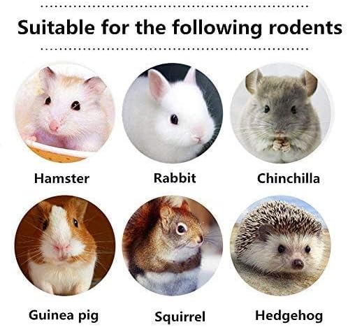 600g Guinea Pig and Rabbit Chew Toys - Sweet Bamboo and Timothy Apple Sticks for Healthy Teeth and Relaxation - Natural and Safe Guinea Pig Chew Toys-PawvioPets