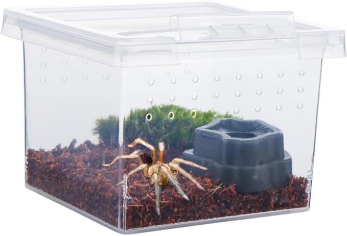10 Pack Small Size Spider Terrariums Breeding Box Hatching Container Insect Scorpion Centipede Acrylic Breeding Box (with 10 Pcs Micro Water Bowl-PawvioPets