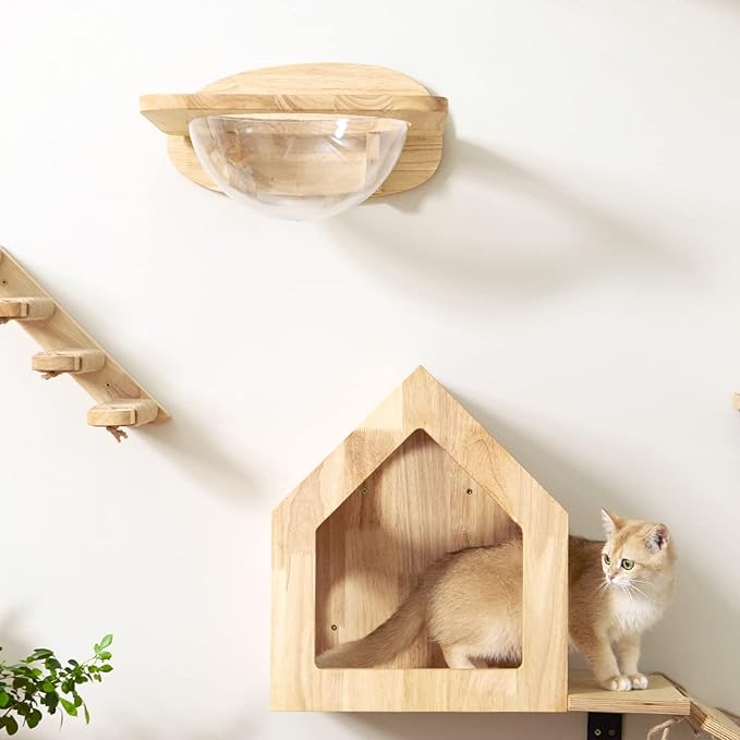 FUKUMARU Cat Wall Furniture Set, Transparent Capsule Kitten Walls Shelves with 2 PCS Pedals - Premium Kitty Bed for Sleeping, Playing, Climbing, and Lounging - Easily Holds Up to 35 Lbs-PawvioPets