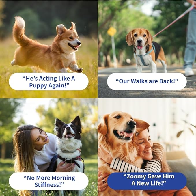 Dog Joint Supplement Powder with Glucosamine, Chondroitin & MSM – Hip & Joint Support for Mobility, Stiffness & Flexibility – Mushroom Blend with Lion’s Mane, Cordyceps & Reishi – Zoomy-PawvioPets