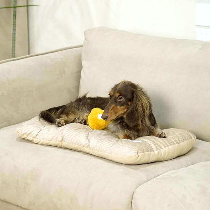 FUNNY FUZZY 2 in 1 Dog Bed Crate Pad Mat, Washable Reversible Pet Floor Mats,Fluffy Kennel Pad for Small Large Sized Dog,Indoor Cats,Sleeping Mattress, 23.6" × 17.9", Beige-PawvioPets