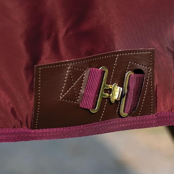 Dura-Nylon Horse Stable Sheet | Ultimate Comfort & Protection Horse Sheet | Keeps Coats Smooth & Shiny-PawvioPets