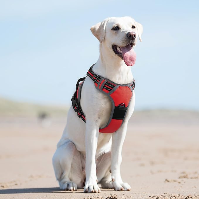 Eagloo Dog Harness for Large Dogs, No Pull Service Vest with Reflective Strips and Control Handle, Adjustable and Comfortable for Easy Walking, No Choke Pet Harness with 2 Metal Rings, Red, L-PawvioPets
