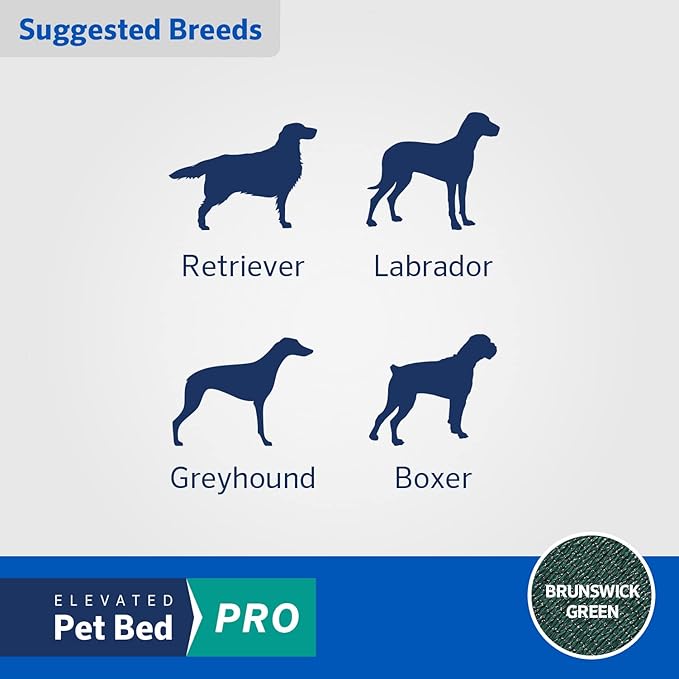 Coolaroo Pro Elevated Dog Bed - Low-Profile Access, Moisture-Resistant Cover, Breathable Fabric & Tool-Free Setup, Brunswick Green, Standard-PawvioPets