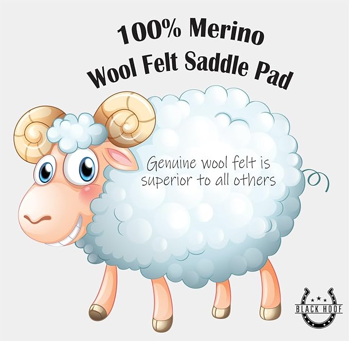 Black HOOF BlackHoof Steam Pressed Merino Wool Felt Contoured Pad 1 Inch Thick(31in Length and 32in Width), Saddle pad for Horses, White-PawvioPets