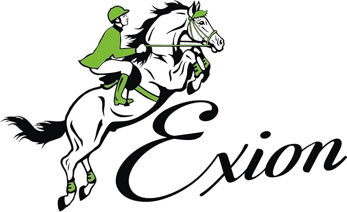 Exion Leather Horse Halter with Fancy Stitching | Black & Brown Padded Halter with Silver Brass Hardware | Quick-Release Snap | Adjustable Leather Halter – Cob, Full, Over, Pony Sizes-PawvioPets