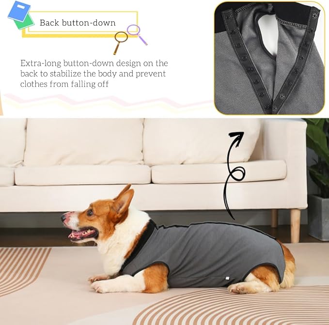 Dog Surgery Recovery Suit,Abdominal Surgical Suit for Dogs,Recovery Suit for Dogs,Prevent Licking Surgical Wound Dog Cone Alternative Blue XL-PawvioPets