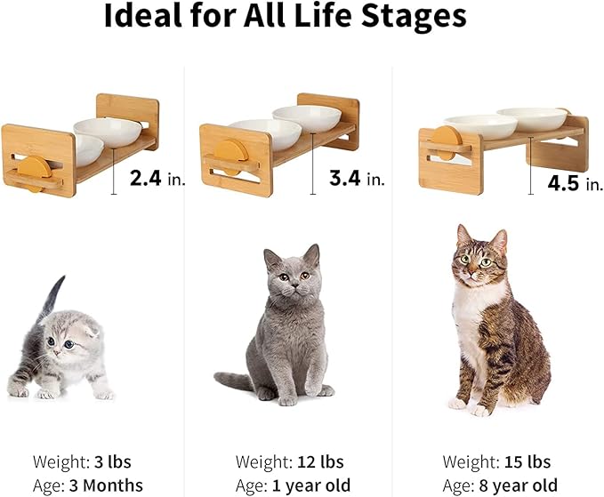 FUKUMARU Elevated Cat Ceramic Bowls, Small Dog 15° Tilted Raised Food Feeding Dishes, Solid Bamboo Water Stand Feeder Set for Cats and Puppy-PawvioPets