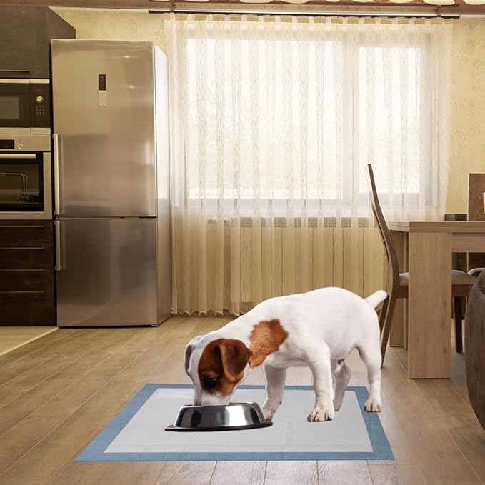 BV Puppy Pads XL 20 Count 28"x34" - Leak-Proof Pee Pads for Dogs with 6-Layer Design, Rapid Dry Sheet & Attractant - Dog Pad Extra Large with Odor Control - Perfect for Big Dogs & Indoor Use-PawvioPets