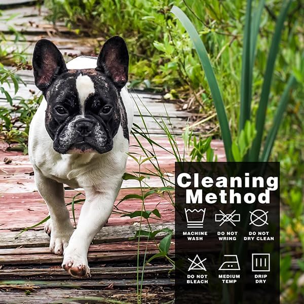 Comprehensive Post-Surgery Dog Recovery Suit: Premium Cotton Protective Wound Care Shirt for Puppies, Cats, and Small Pets - Ensuring Ultimate Comfort, Unrestricted Mobility M-PawvioPets