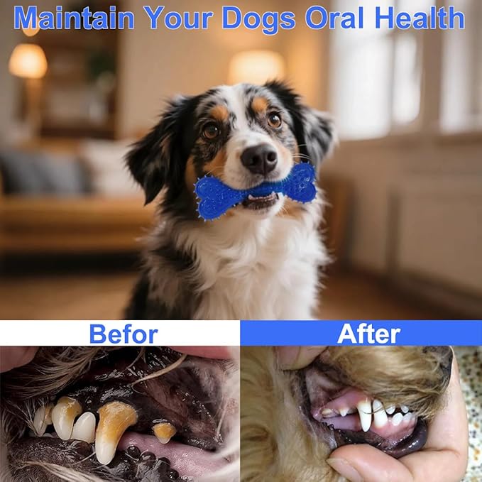 Dog Toys 15 Pack for Teeth Cleaning and Fun, Puppy Teething Chew Toys Interactive Rope Squeaky Treat Balls & Rubber Tous Bulk– Variety Dog Gifts Set Reduce Anxiety & Save Furniture-PawvioPets