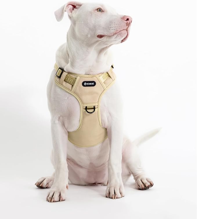 2025 New Edition, Fei & Eve MagEase Dog Harness - 3-Second Magnetic Buckles | 3-Point No-Pull Control | Heavy-Duty 900D Nylon | Dual Safety Handles | Breathable Mesh | Adjustable Fit, Large, Champagne-PawvioPets