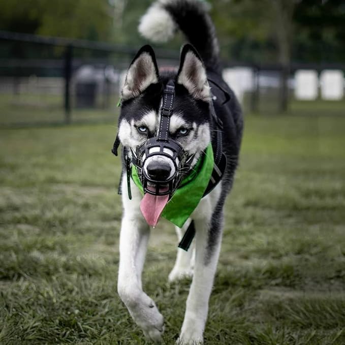 BARKLESS Dog Muzzle, Soft Basket Silicone Muzzle for Dogs to Prevent Biting and Chewing, Breathable Cage Mouth Cover for Training, Allows Drinking and Panting, Used with Collar-PawvioPets