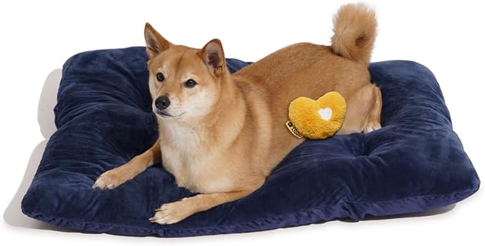 FUNNY FUZZY 2 in 1 Dog Bed Crate Pad Mat, Washable Reversible Pet Floor Mats,Fluffy Kennel Pad for Small Large Sized Dog,Indoor Cats,Sleeping Mattress,35.4" × 22.8", Midnight Blue-PawvioPets