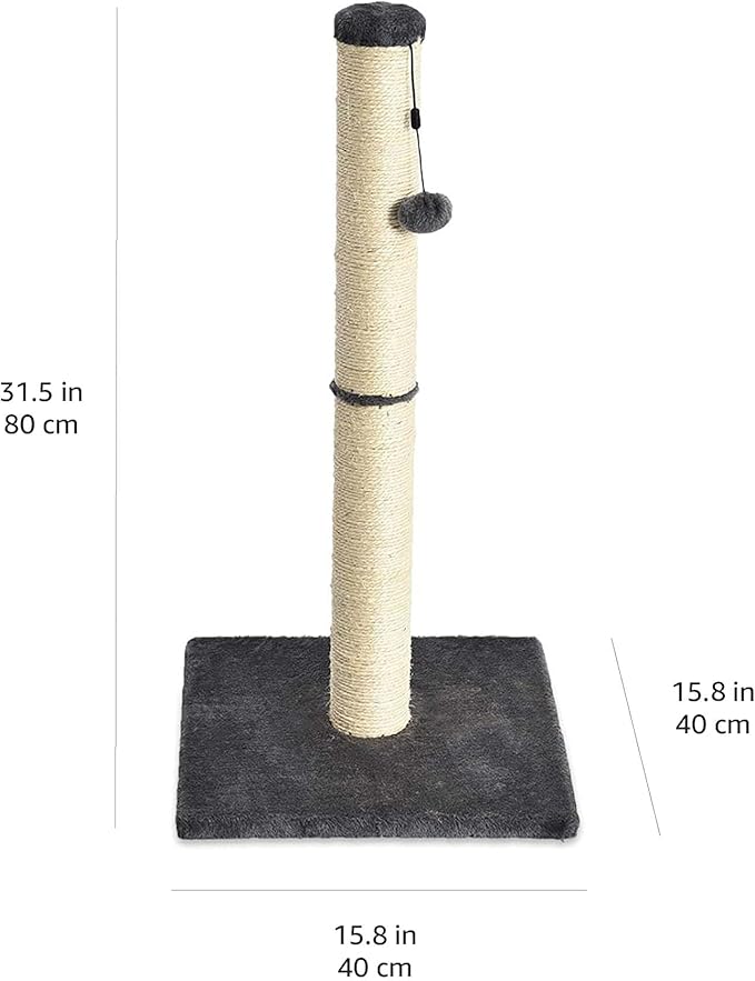 Amazon Basics Cat Scratcher - Indoor Classic Single Cat & Kittens Scratching Post, Medium (31.5"H) - Grey-PawvioPets