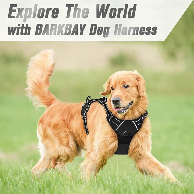 BARKBAY No Pull Dog Harness Front Clip Heavy Duty Reflective Easy Control Handle for Large Dog Walking(Black,M)-PawvioPets