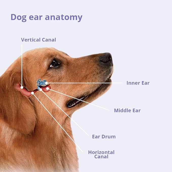 Flush 4oz-PawvioPets