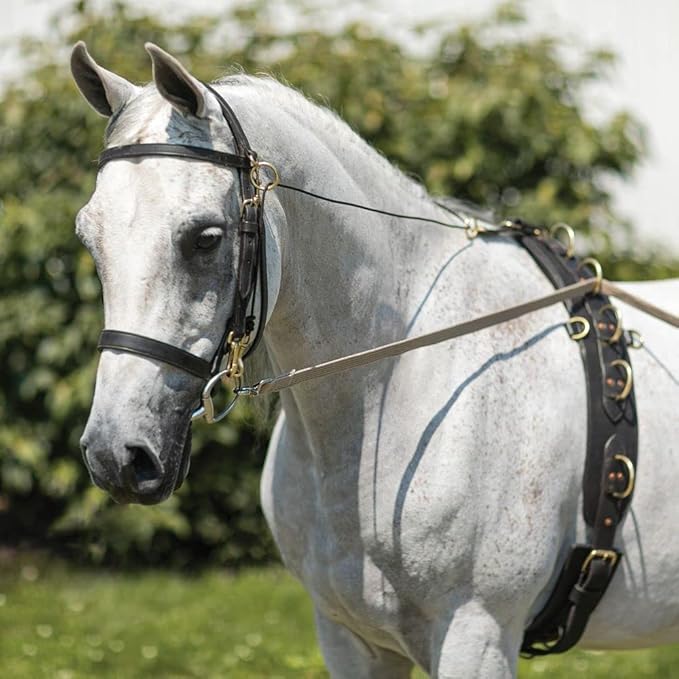 Dura-Tech Brown Cotton Web Long Lines | Ideal for Youngsters and Green Horses | for Beneficial Ground Training | Usable with Saddle or Surcingle | Heavy-Duty Cotton Web-PawvioPets