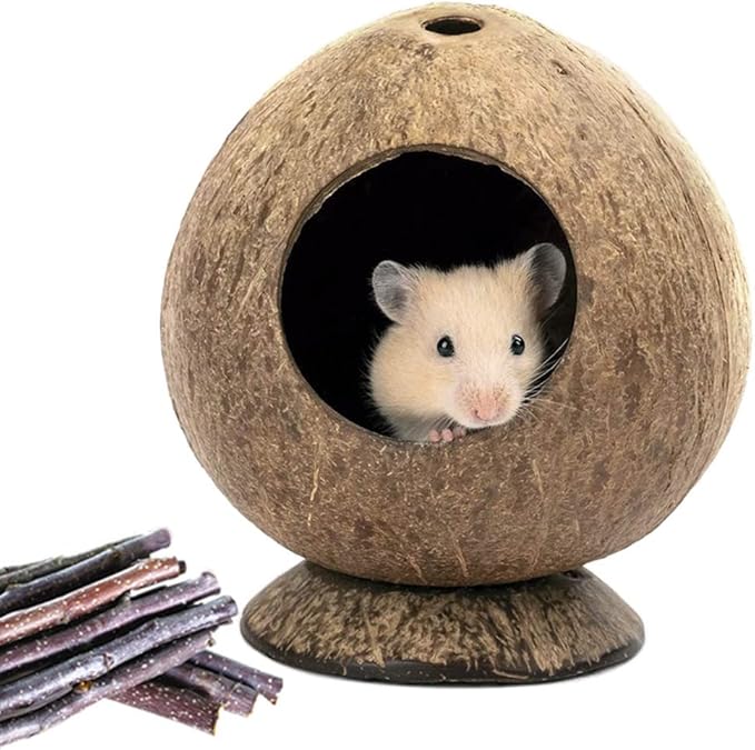 Coconut Hamster Hideout Hamster House Gerbil Cage for Small Animals with a Bundle of Apple Sticks a Carrot (Brown)-PawvioPets