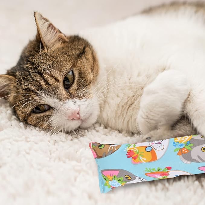 BINGPET 3 Pcs Catnip Toy Cat Kicker Toys, Durable and Bite Resistant Cat Chew Toy, Filled with Natural Catnip, Indoor Kitty Kick Pillow Toy with Cute Printing-PawvioPets