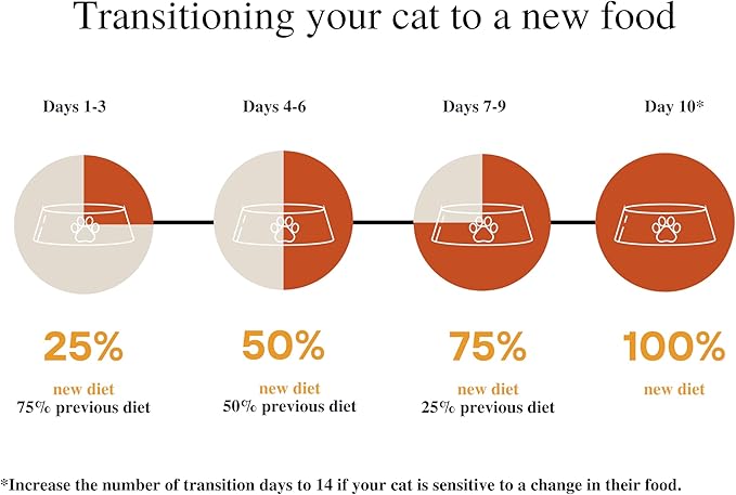 Amazon Brand - Wonder Bound Canned Wet Cat Food (Turkey & Giblet Dinner Paté), No Artificial Flavors, Adult Recipe, 3 Ounce (Pack of 24)-PawvioPets