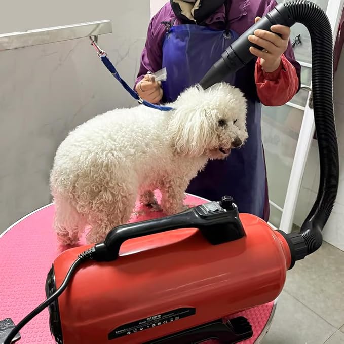 Dog Pet Dryer, 3000W High Velocity Pet Dryer Adjustable Speed Dog Grooming Blower Double Motor, Pet Grooming Hair Drying(4HP), Hot Air Dog Hair Dryer Blower with 2 Nozzle-PawvioPets