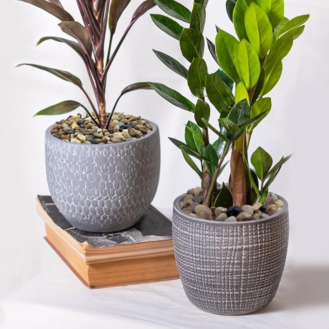 20lbs Natural River Rocks for Plants, 3/8" Aquarium Gravel Decorative Polished Mixed Pebbles for Fish Tank, Gardening, Flower Pots, Vase Fillers, Indoor Water Fountains, Landscaping-PawvioPets