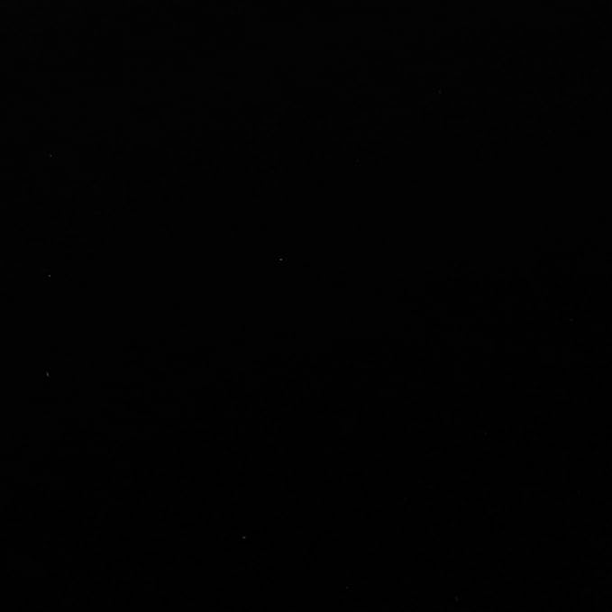 Deco 79 Vintage Metal Free-Standing Birdcage, 14" x 14" x 47", Black-PawvioPets