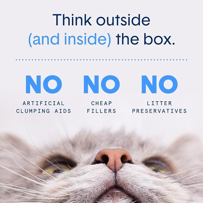 Boxie® Probiotic Cat Litter, Lightweight 40-Day Odor Control, Clumping, 11.5lb-PawvioPets