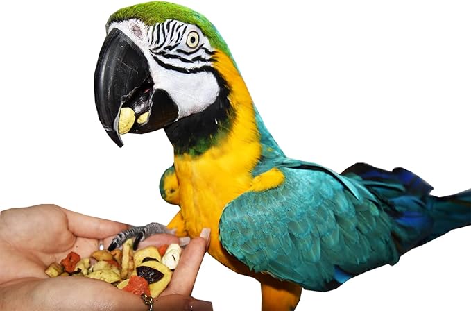 Birds LOVE All Natural Garden Blend Bird Food for Parrots 2lb-PawvioPets