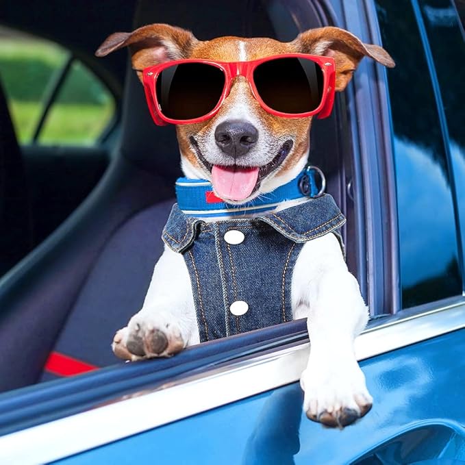 Dog Denim Jacket with Embroidered Daisy, Ripped Vintage Jean Vest for Small Dogs, Pugs, Chihuahuas, Spring Summer Autumn Festival Outfit-PawvioPets