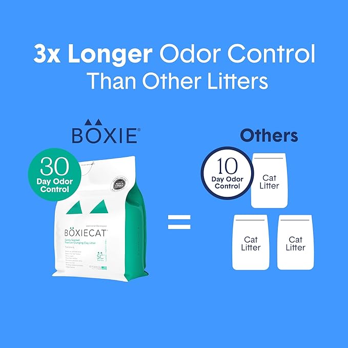 Boxiecat Gently Scented Premium Clumping Clay Cat Litter-16-Pounds-PawvioPets