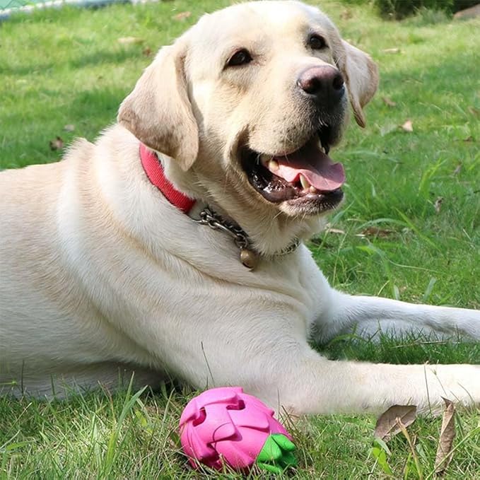 AUSCAT Dog Treat Dispensing Toys, Dispensing Puzzle Dog Toy for Aggressive Chewers, Rubber Dog Treat Dispenser, Interactive Stimulation Dog Food Toys, Pitaya Shape-PawvioPets