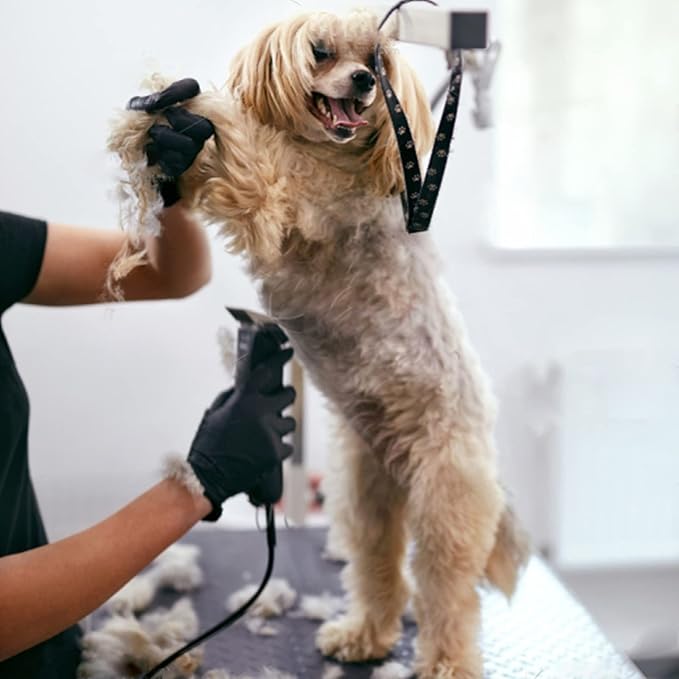 #40 Blades Dog Grooming Clipper Replacement Blades Compatible with Andis/Wahl/Oster Dog Clippers,Detachable Ceramic Blade & Stainless Steel Blade,Size #40 Cut Length 1/100"(0.25mm)-PawvioPets