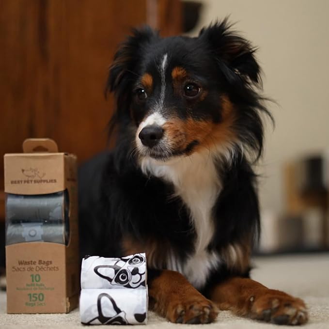 Best Pet Supplies Dog Poop Bags (150 Bags) for Waste Refuse Cleanup, Doggy Roll Replacements for Outdoor Puppy Walking and Travel, Leak Proof and Tear Resistant, Thick Plastic - Gray-PawvioPets