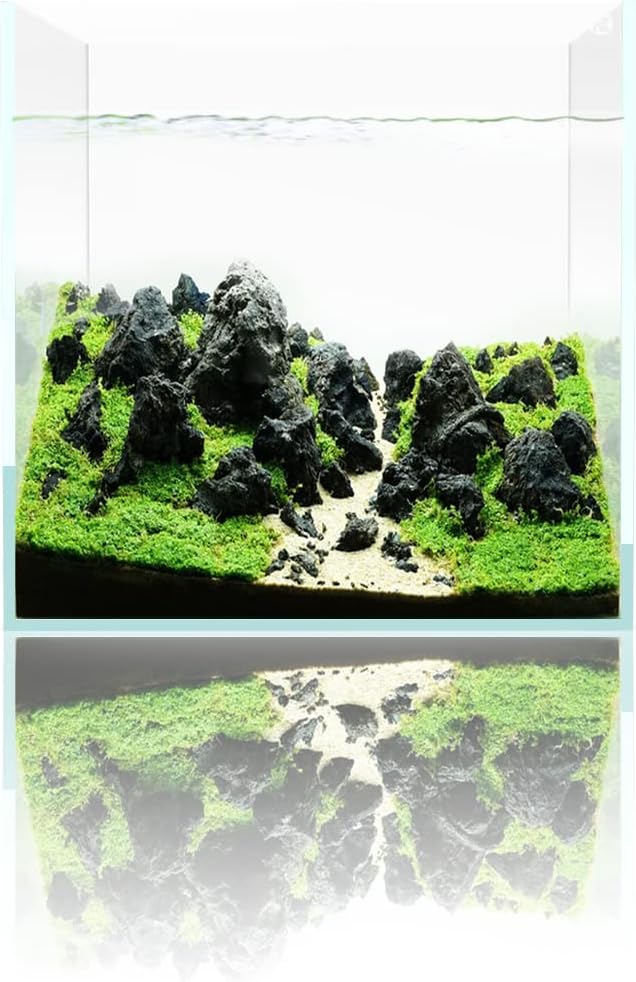 Fzone 7 Gal Rimless Low Iron Fish Tank Nova Clear Ultra-White 45° Mitered Edges Translucent Glass Anata Series Aquarium w/Black Foam Leveling Mat(S30C)-PawvioPets