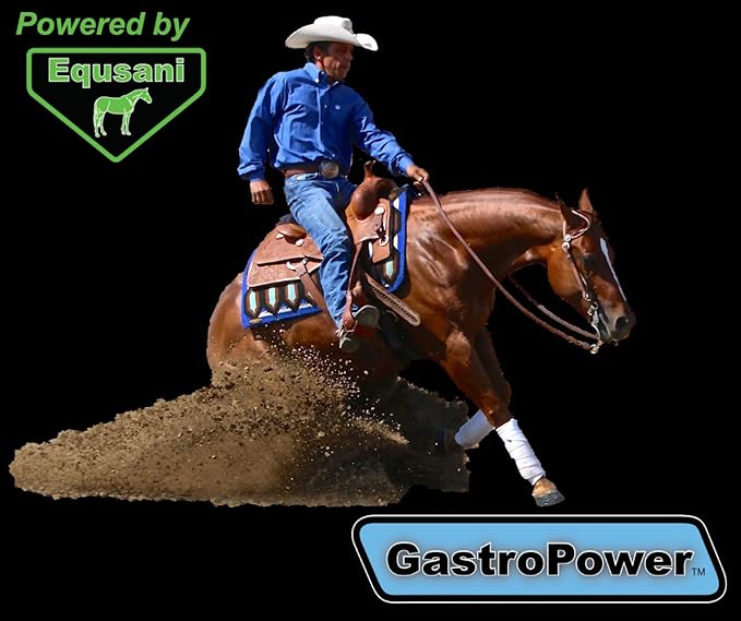 GastroPower Digestible Free Fatty Acid Feed Concentrate for Horses-PawvioPets