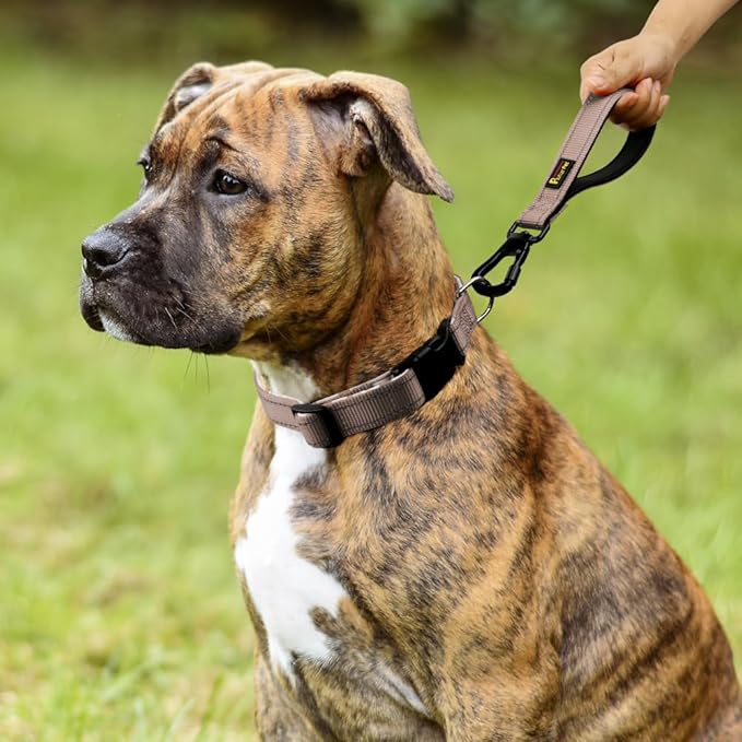 PLUTUS PET Short Dog Leash, Reflective Nylon Padded Handle, Strong Traffic Leash with Carabiner Clip, Perfect for Large or Medium Dogs (10”,Beige)-PawvioPets