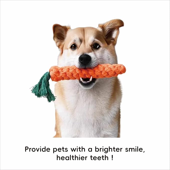 Dental Care for Pets - Dog Tooth Brushing Kit, Dog Toothpaste, Cat Toothbrush kit, Pet chew Toys, Dog Teeth Cleaning, 5 in 1 KIT for Large and Small Pets, Pets are Durable in Use !-PawvioPets