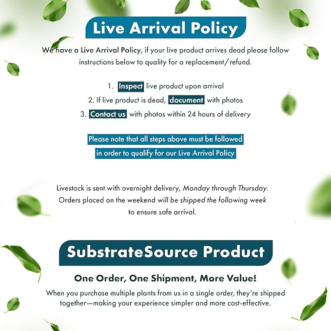 Alternanthera Bettzickiana - Decorative Live Aquatic Plant for Terrariums and Paludariums - (Bettzickiana, 1 Bunch)-PawvioPets